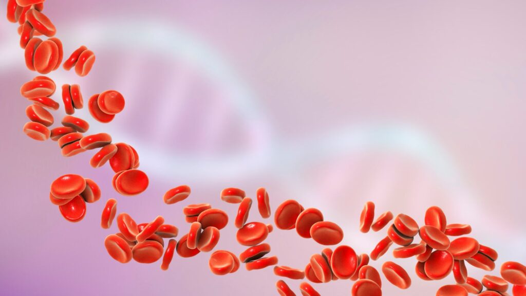 Entenda a importância da hematologia veterinária!