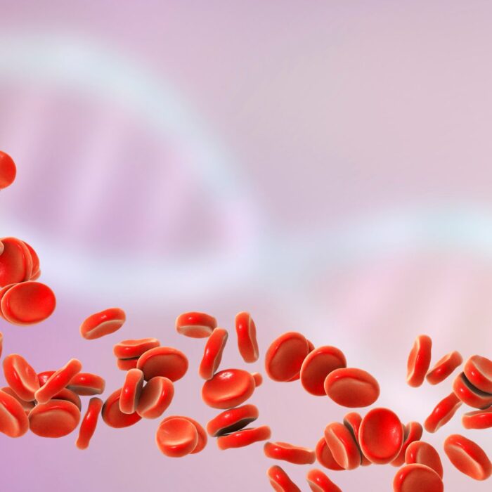 Entenda a importância da hematologia veterinária!