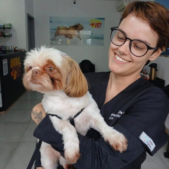 Conheça os principais sintomas e cuidados para a alergia em cães e gatos!