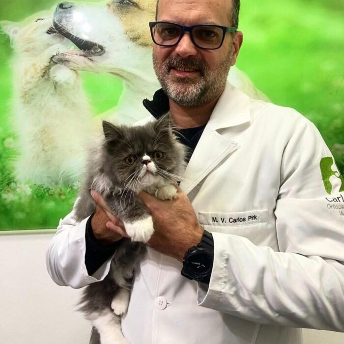 Conheça os principais exames veterinários com a Animal Vet!