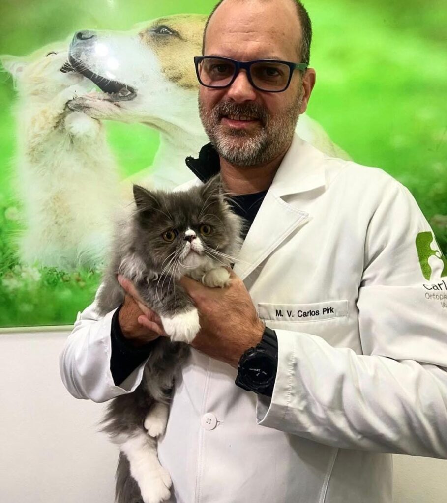 Conheça os principais exames veterinários com a Animal Vet!