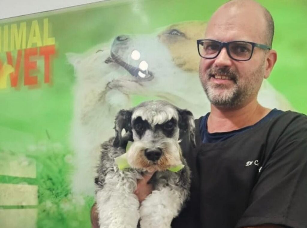 Entenda a importância do cuidado com pets idosos!