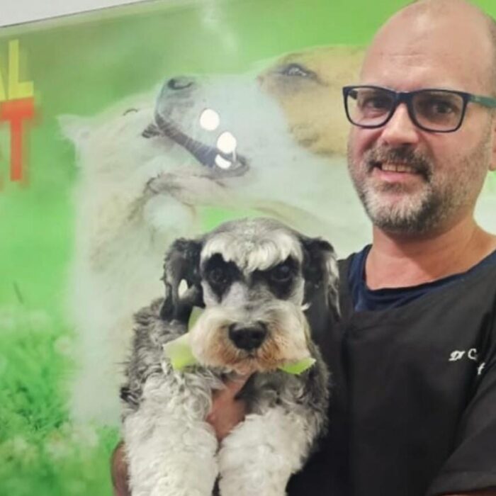 Entenda a importância do cuidado com pets idosos!