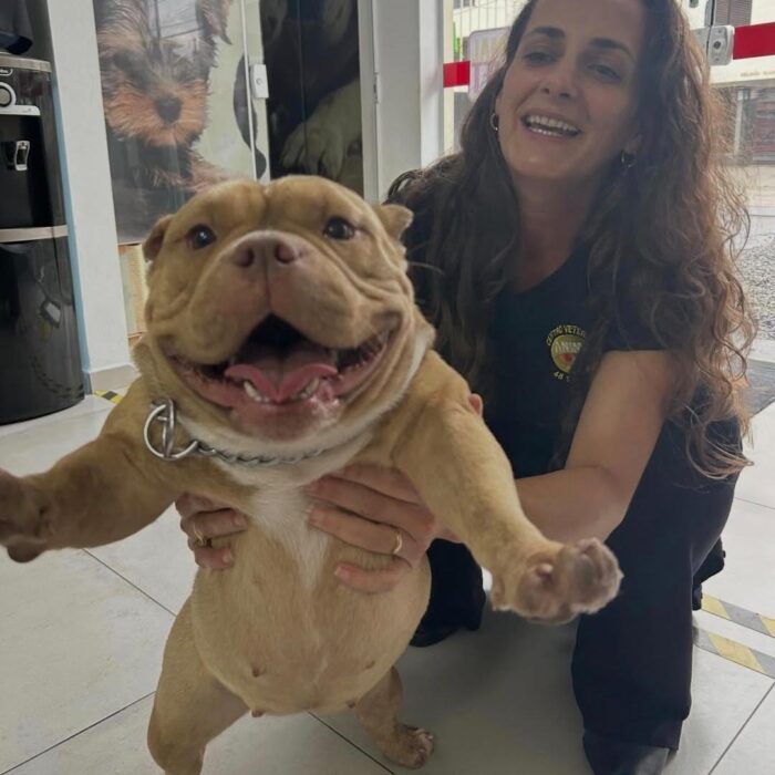 Venha com a Animal Vet e entenda como escovar os dentes do cachorro!