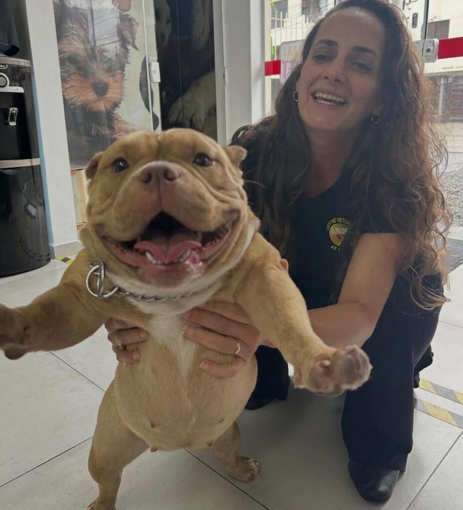 Venha com a Animal Vet e entenda como escovar os dentes do cachorro!