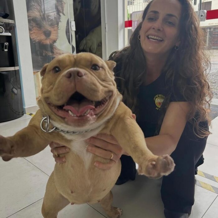 Venha com a AnimalVet e conheça mais sobre a ozonioterapia em pets!