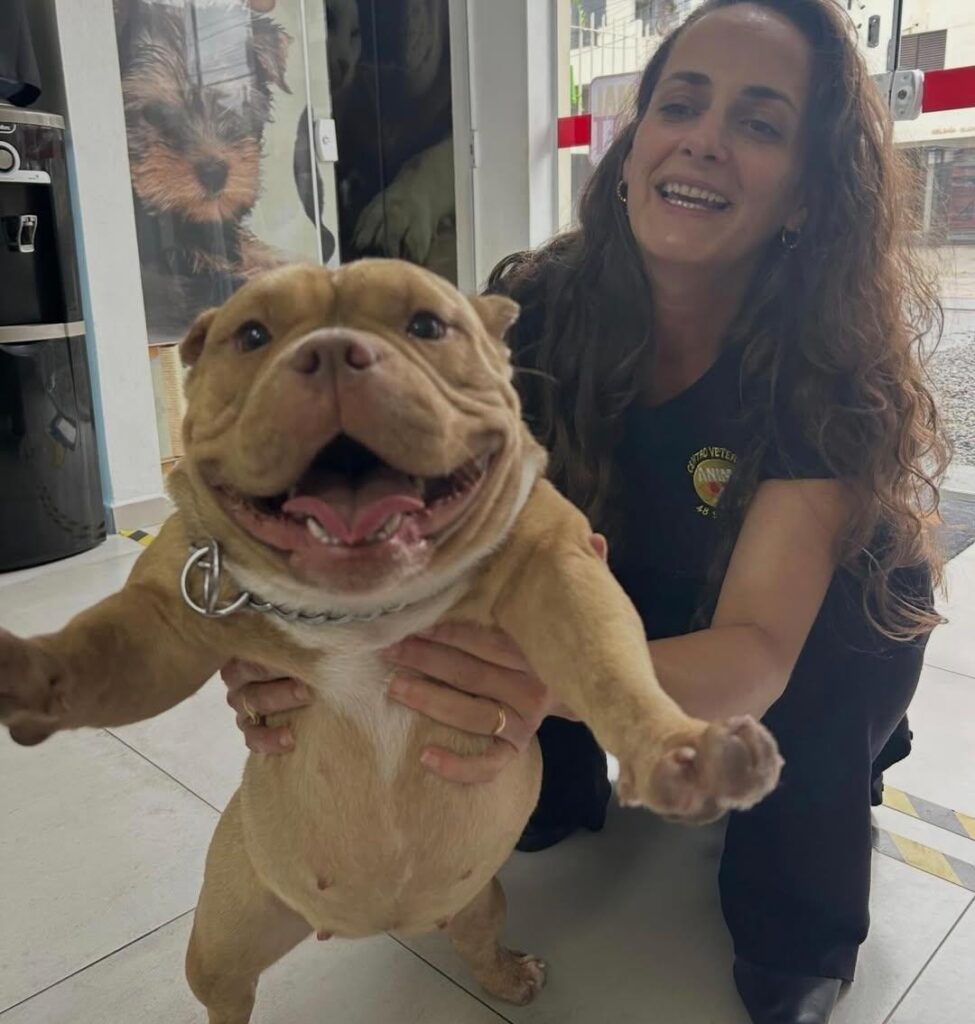 Venha com a AnimalVet e conheça mais sobre a ozonioterapia em pets!
