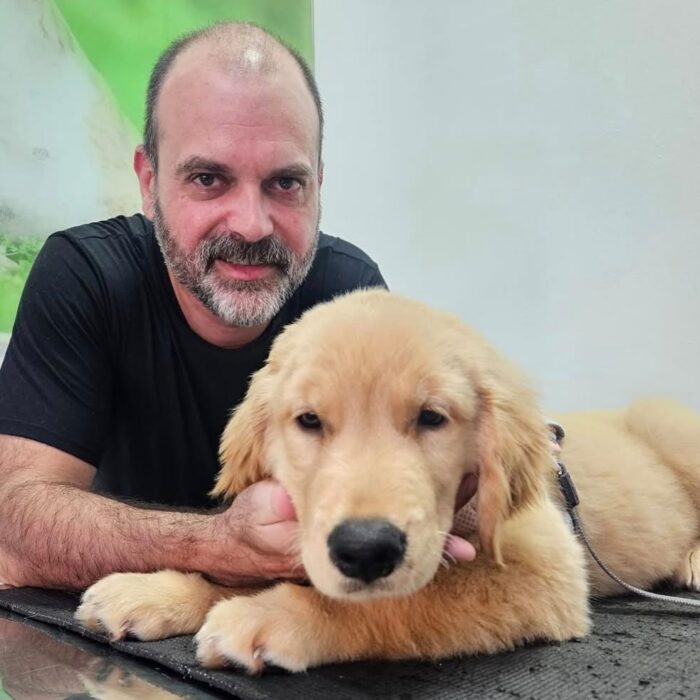 Conheça as principais causas e tratamentos para a coceira no ouvido em cães e gatos!